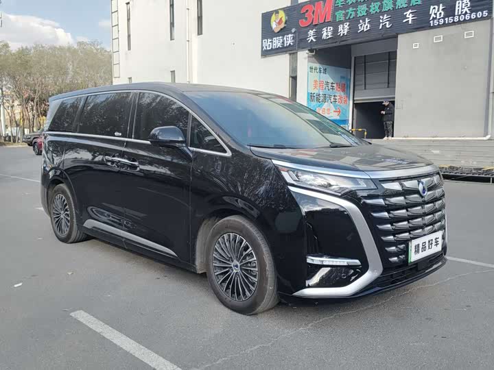 Фото 3 - Denza D9