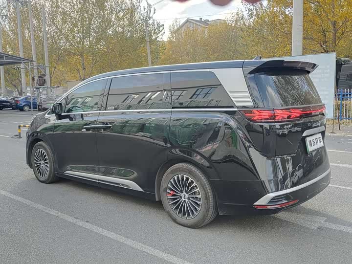 Фото 7 - Denza D9