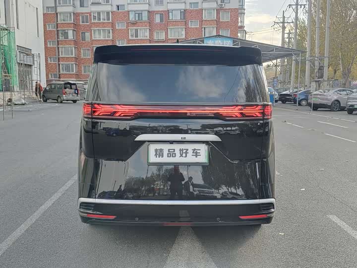 Фото 8 - Denza D9