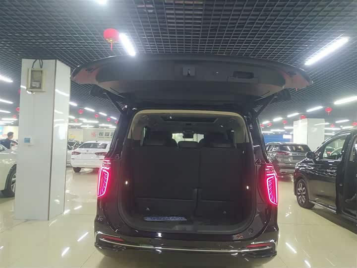 Фото 19 - Hongqi HQ9