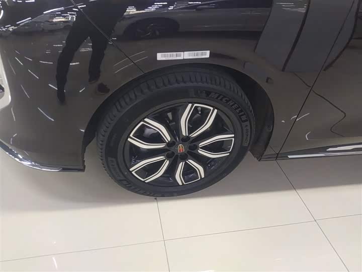 Фото 23 - Hongqi HQ9