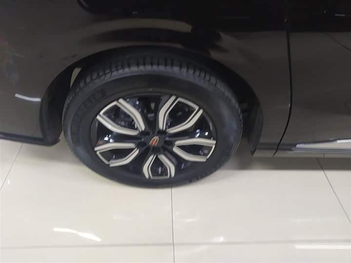 Фото 26 - Hongqi HQ9