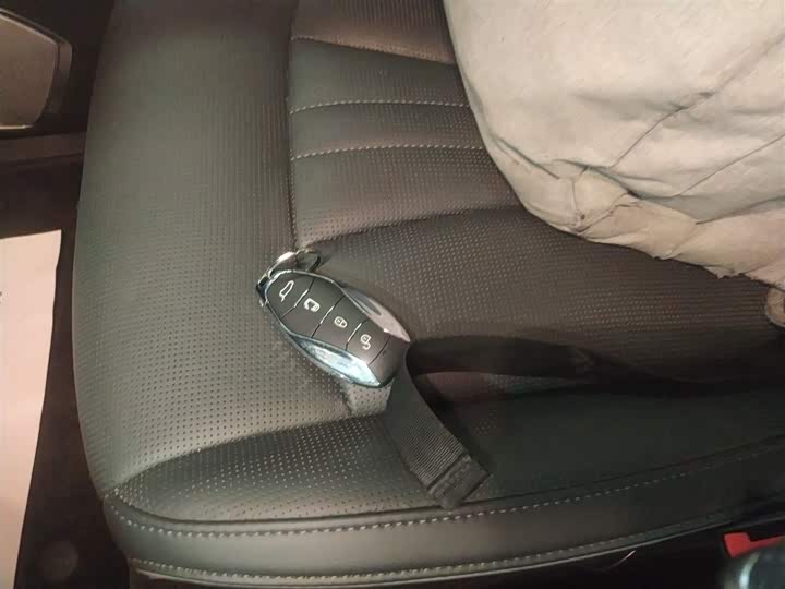 Фото 9 - Hongqi HQ9