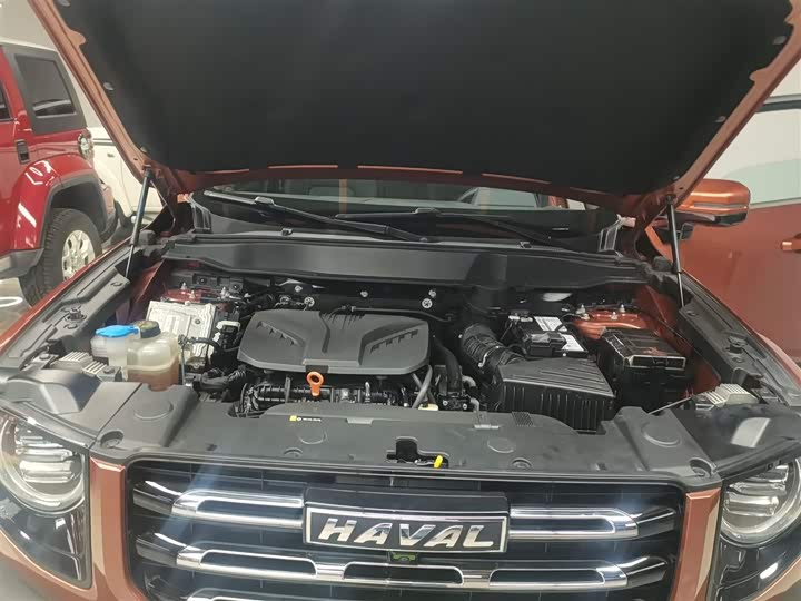 Фото 20 - Haval Dargo