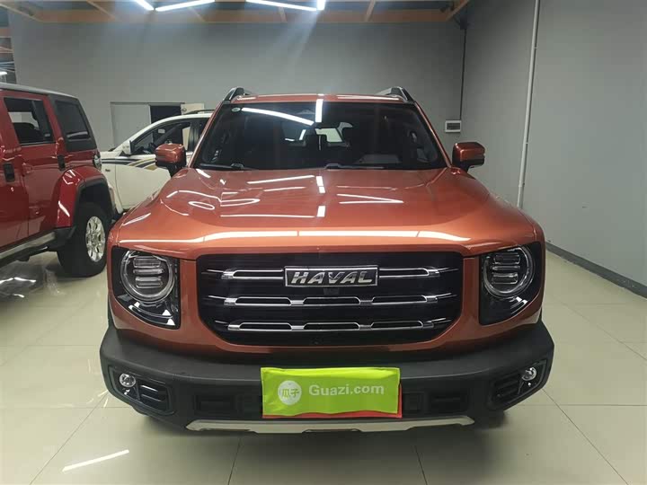 Фото 3 - Haval Dargo