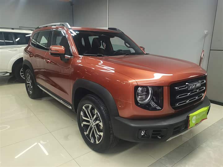 Фото 4 - Haval Dargo
