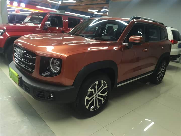 Фото 5 - Haval Dargo