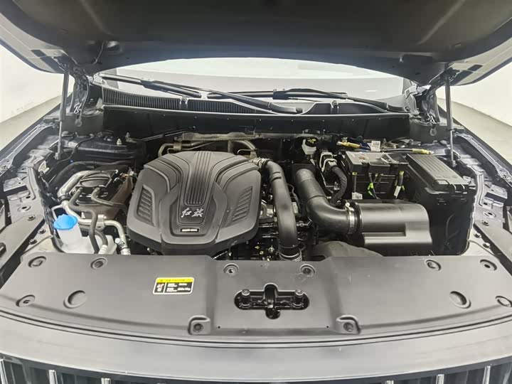 Фото 6 - Hongqi HS7