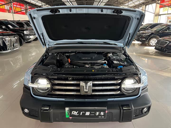 Фото 20 - Tank 300 Hybrid