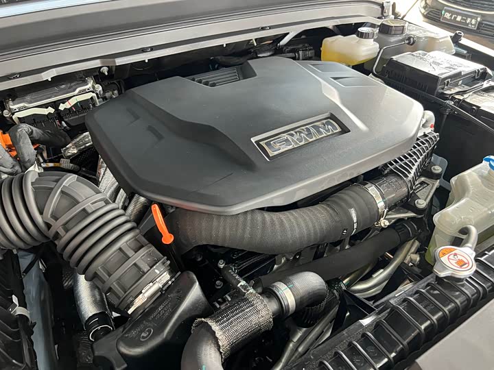 Фото 21 - Tank 300 Hybrid