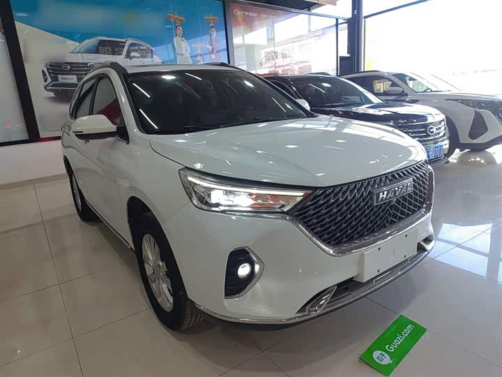 Фото 4 - Haval M6