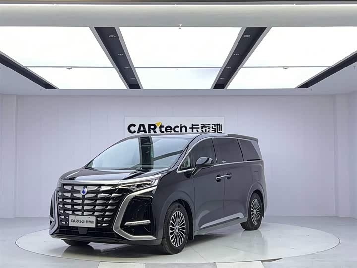 Фото 1 - Denza D9