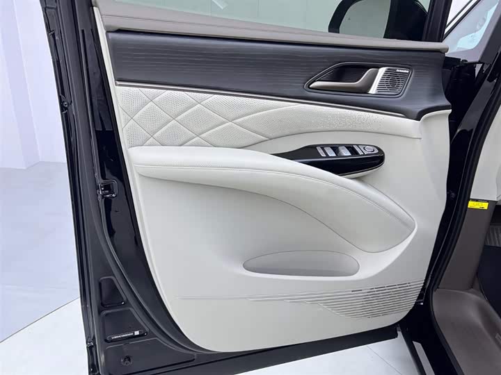 Фото 17 - Denza D9