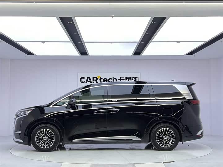 Фото 2 - Denza D9