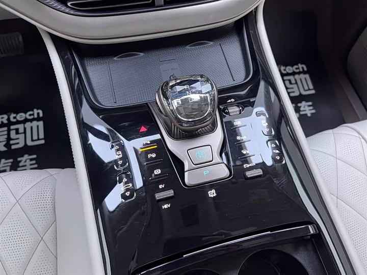 Фото 27 - Denza D9