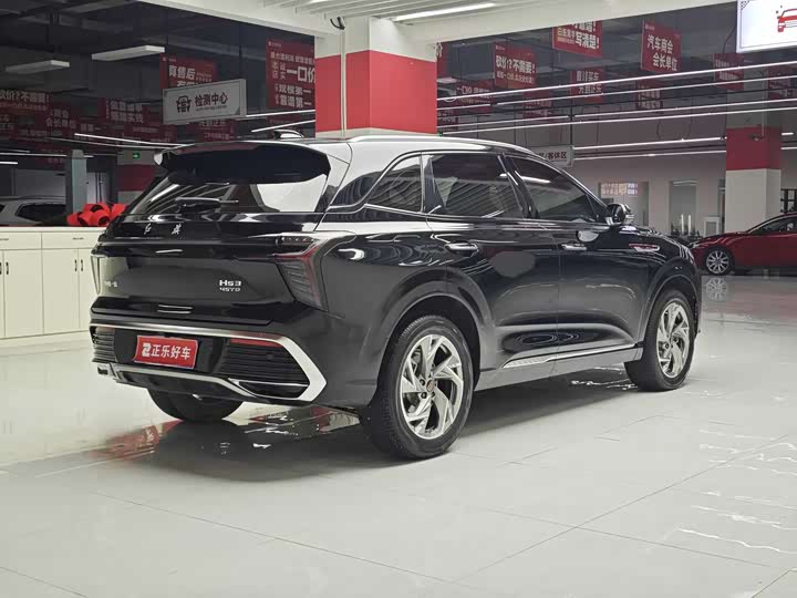 Фото 3 - Hongqi HS3