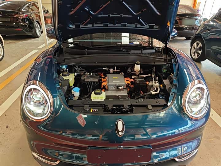 Фото 20 - Ora Good Cat (03)