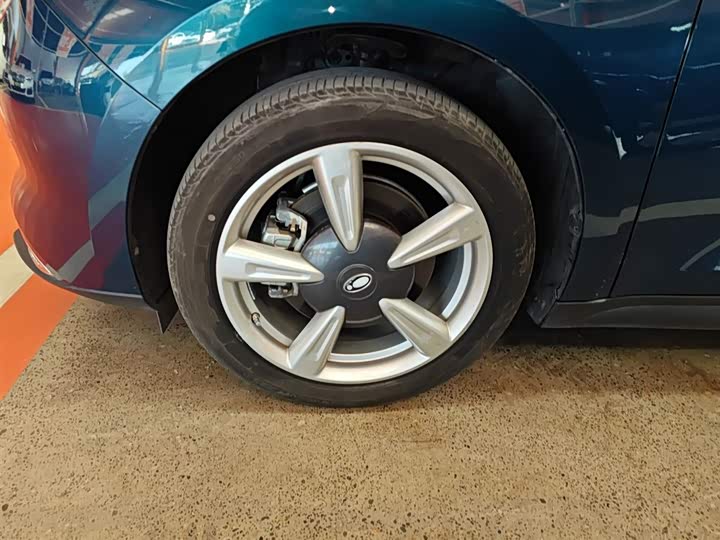 Фото 23 - Ora Good Cat (03)