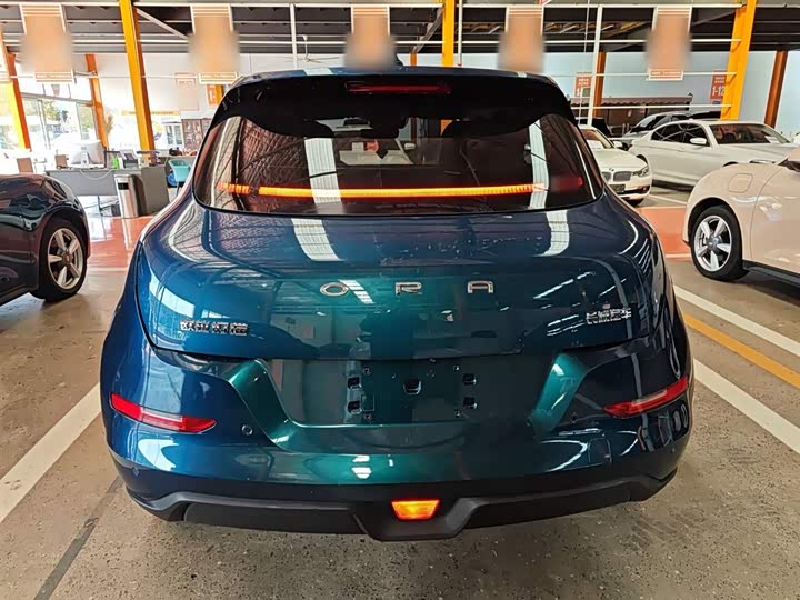 Фото 6 - Ora Good Cat (03)