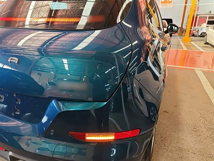 Фото 8 - Ora Good Cat (03)