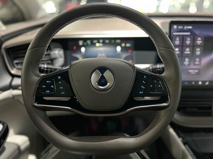 Фото 11 - Denza D9