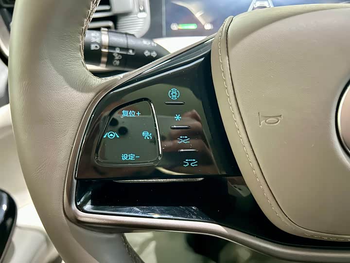 Фото 12 - Denza D9