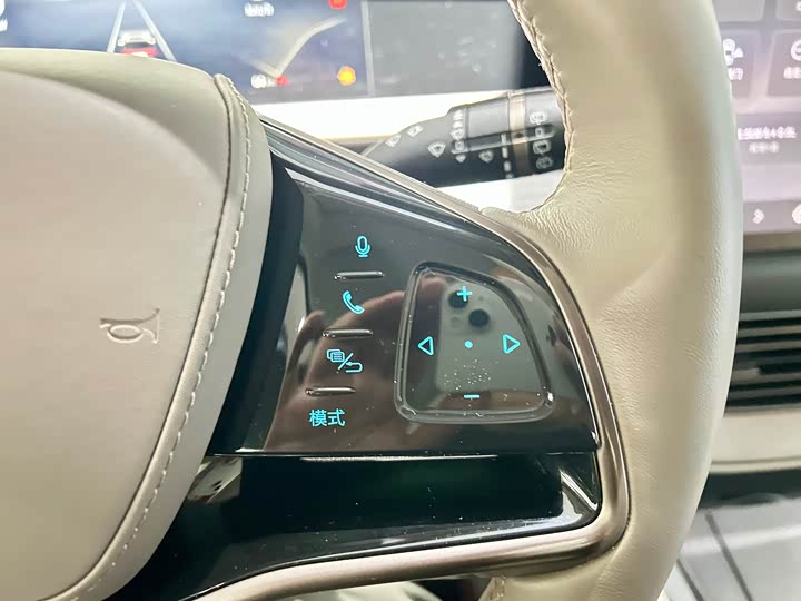 Фото 13 - Denza D9