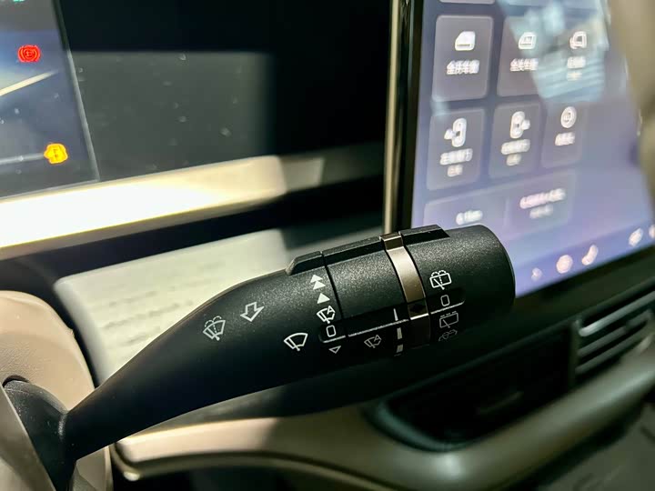 Фото 15 - Denza D9