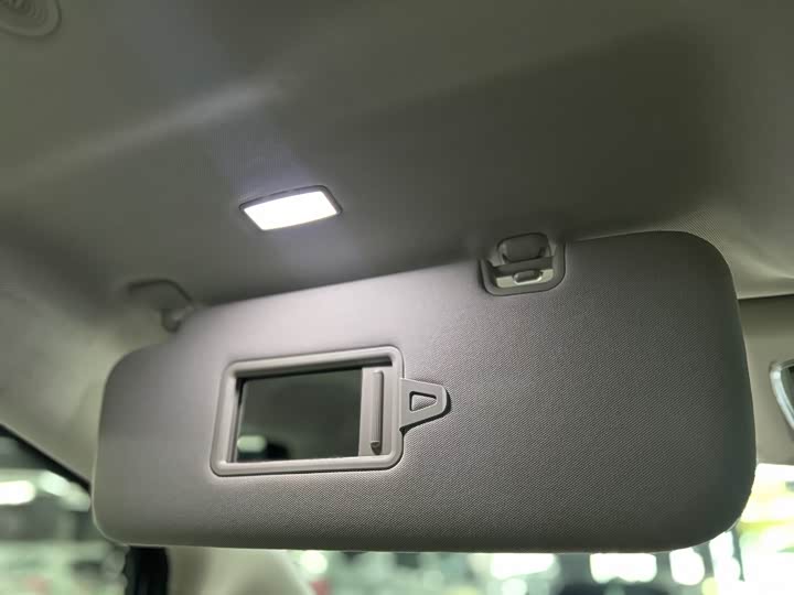 Фото 19 - Denza D9