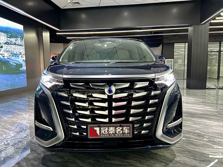 Фото 2 - Denza D9