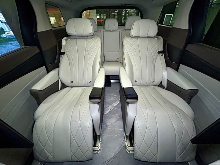 Фото 23 - Denza D9