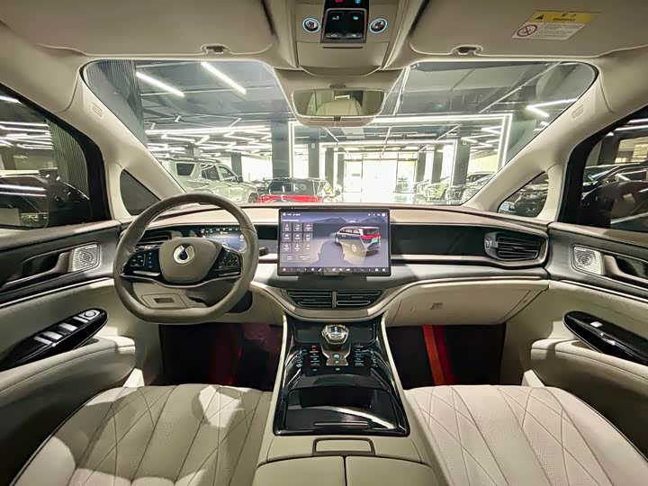 Фото 27 - Denza D9