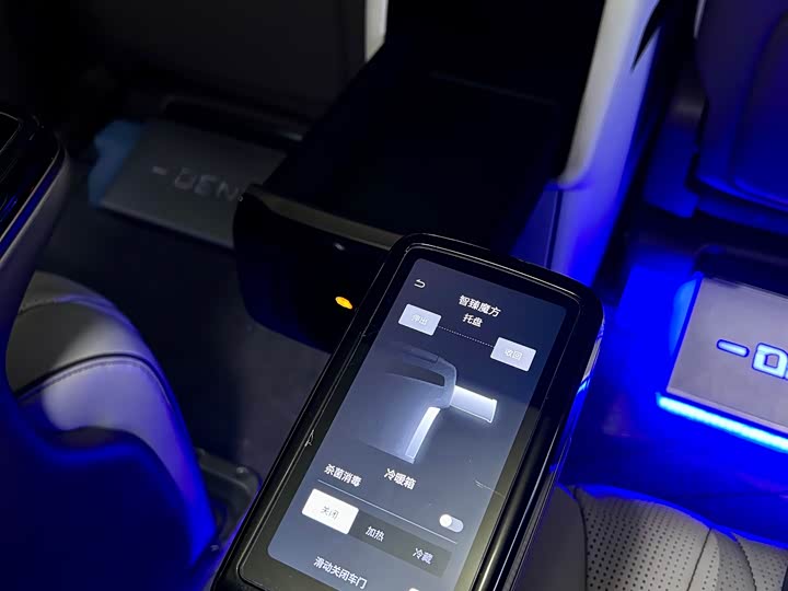 Фото 29 - Denza D9