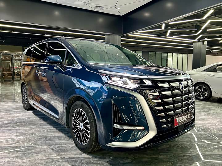 Фото 3 - Denza D9