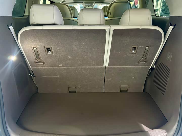 Фото 38 - Denza D9