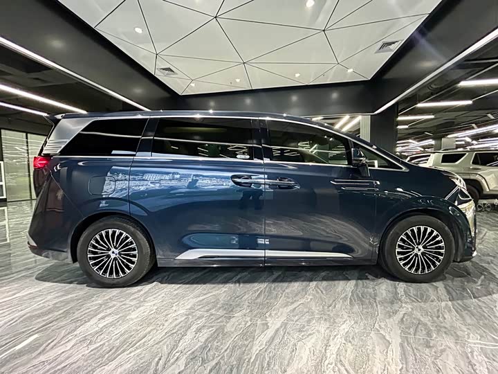 Фото 4 - Denza D9