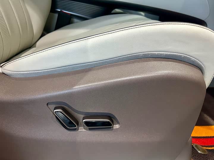 Фото 43 - Denza D9