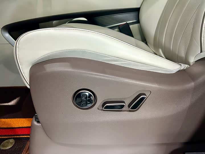 Фото 45 - Denza D9