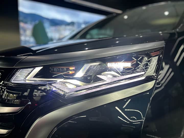 Фото 46 - Denza D9