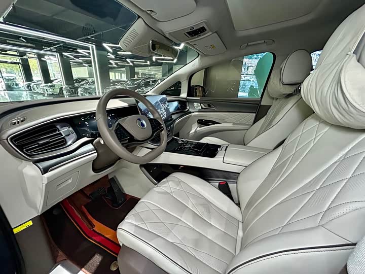 Фото 9 - Denza D9