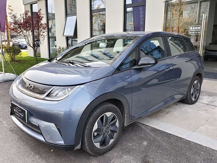 Фото 1 - BYD Dolphin