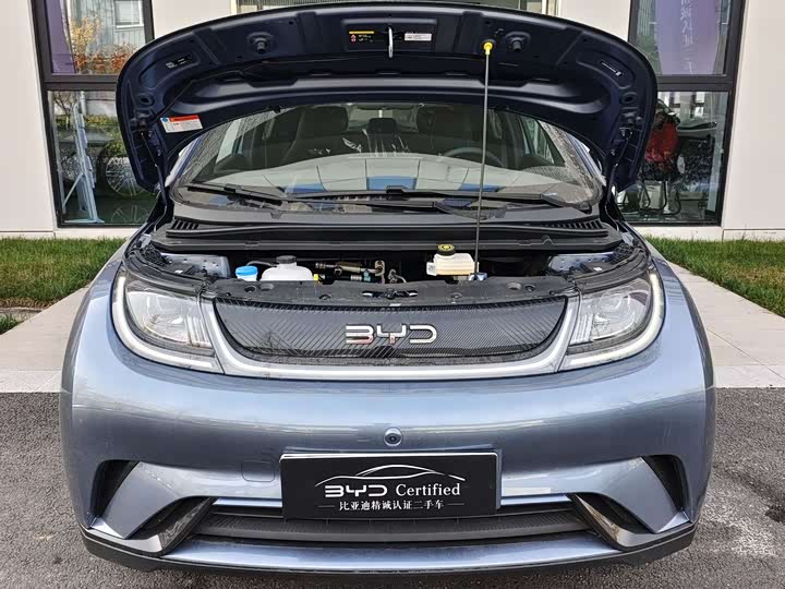 Фото 4 - BYD Dolphin