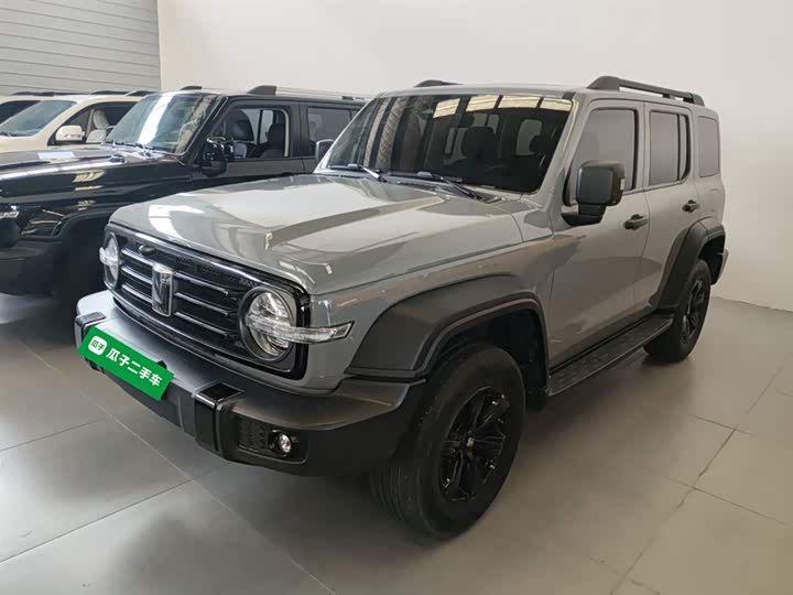 Фото 2 - Tank 300