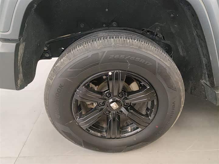 Фото 26 - Tank 300