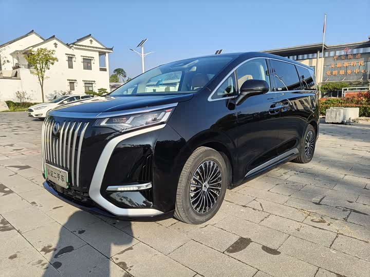 Фото 1 - Denza D9