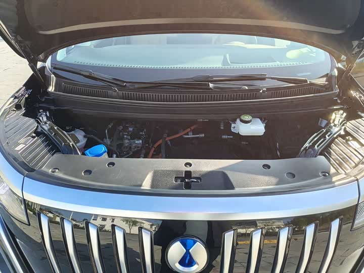 Фото 29 - Denza D9