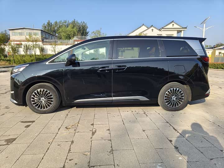 Фото 4 - Denza D9