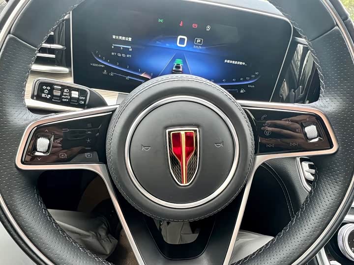 Фото 13 - Hongqi H9