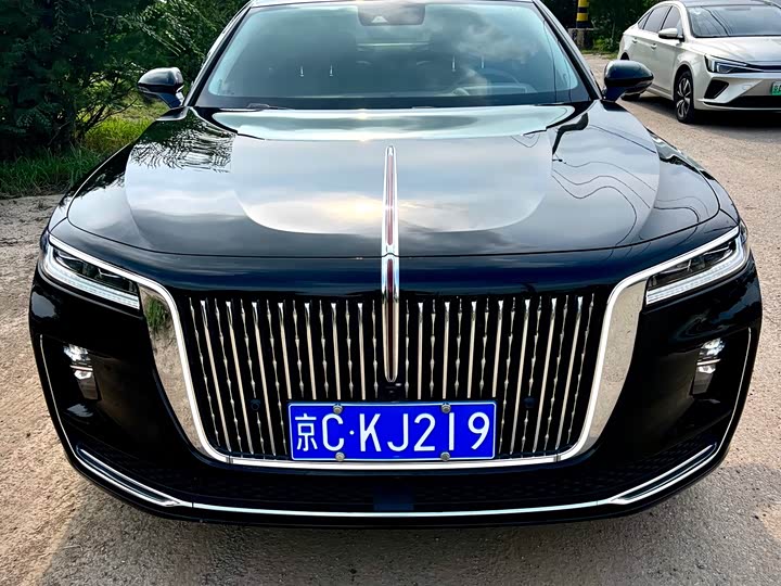 Фото 2 - Hongqi H9