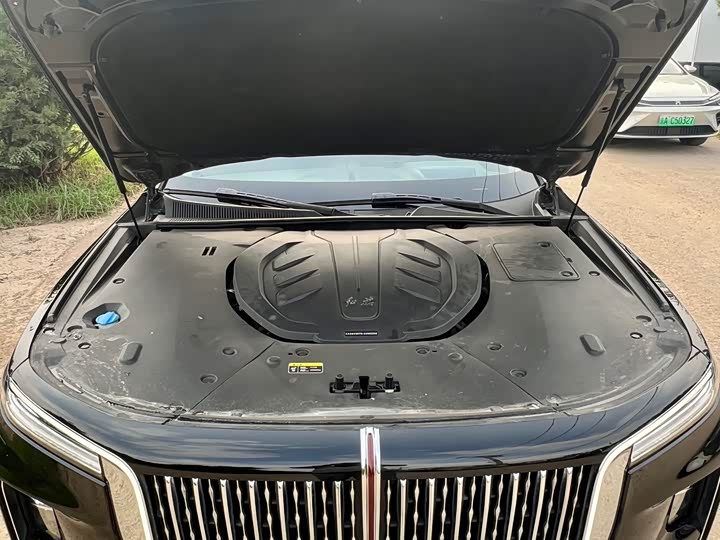 Фото 31 - Hongqi H9